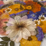 Wedding bouquet preservation