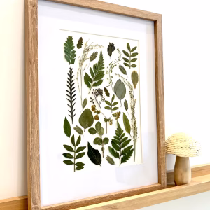 Handmade Pressed Flower Framed Wall Art Green Leaf Ferns