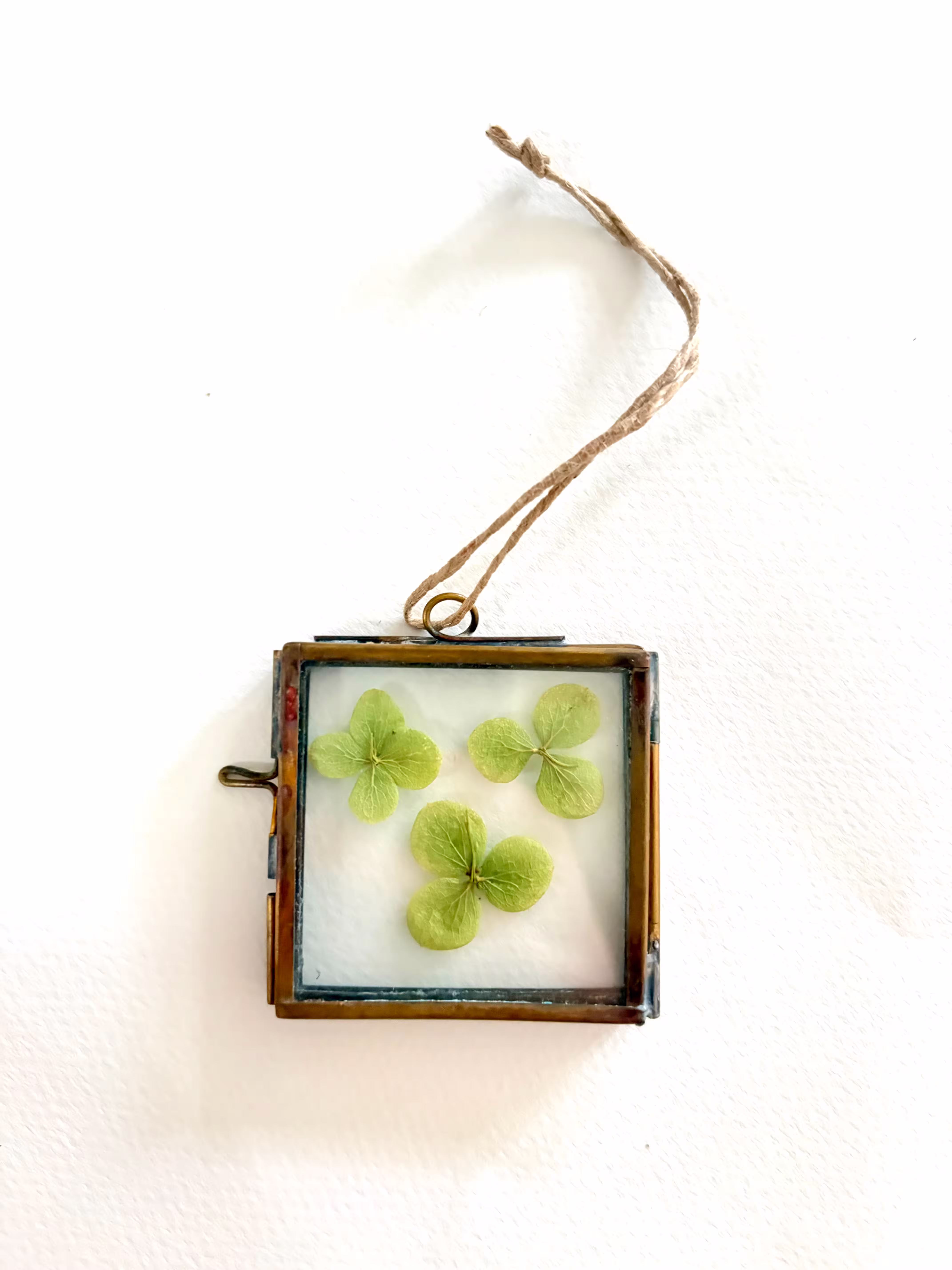 Miniature Pressed Flower Frame Frames Hydrangea Annabelle Antique Brass Little Small Gift